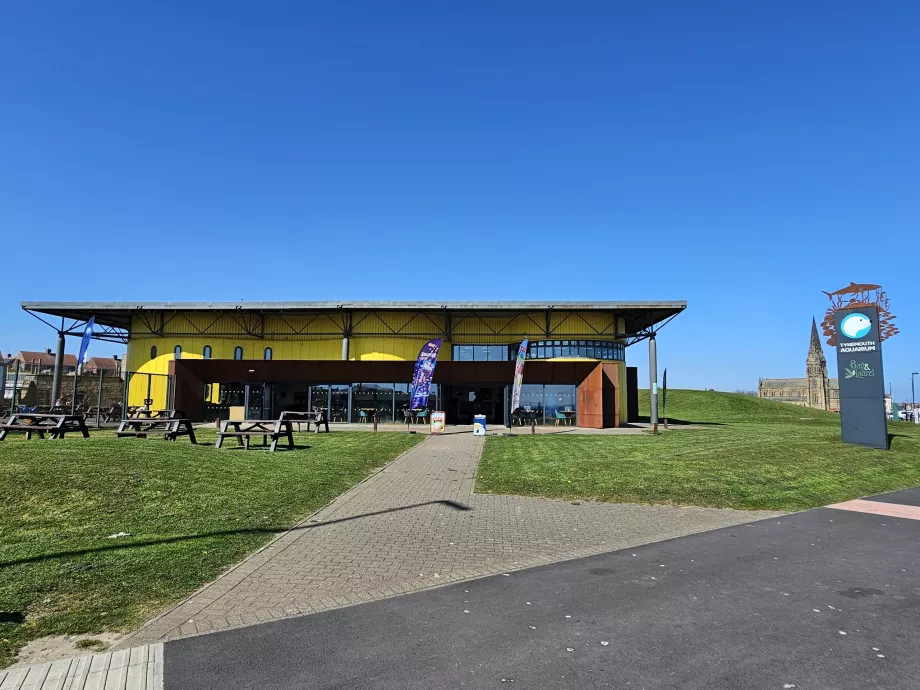 Acquario di Tynemouth