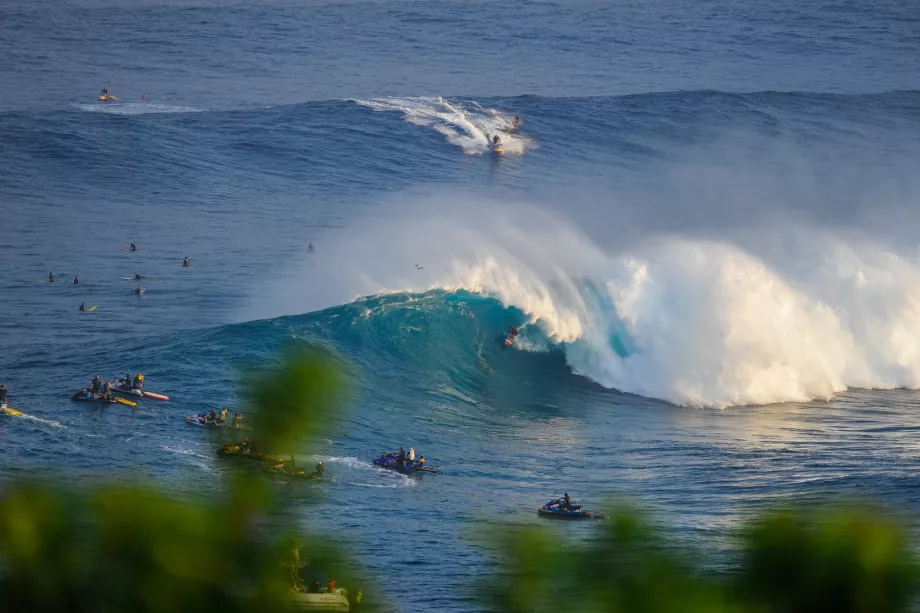 Il surf a Maui