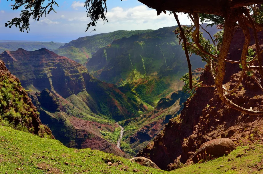 Vista sul Waimea Canyon