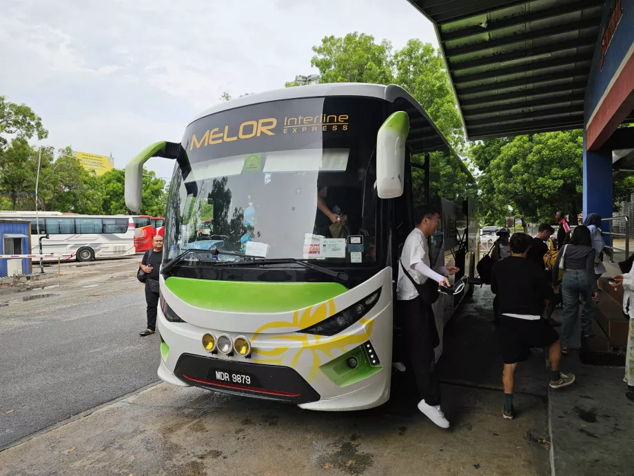 Melor Interline, allenatore