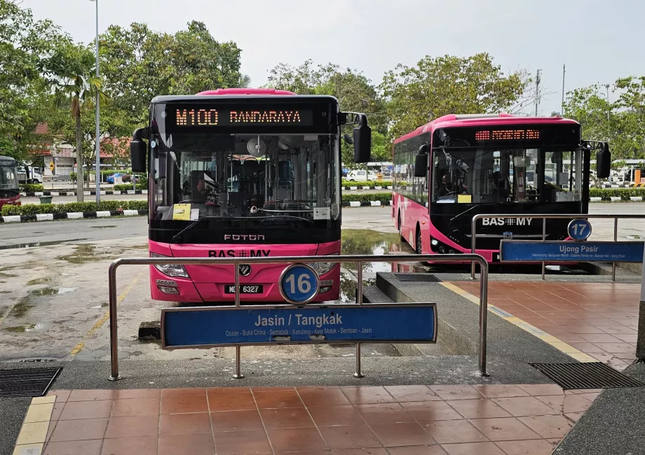 Autobus 100 dalla stazione degli autobus al centro