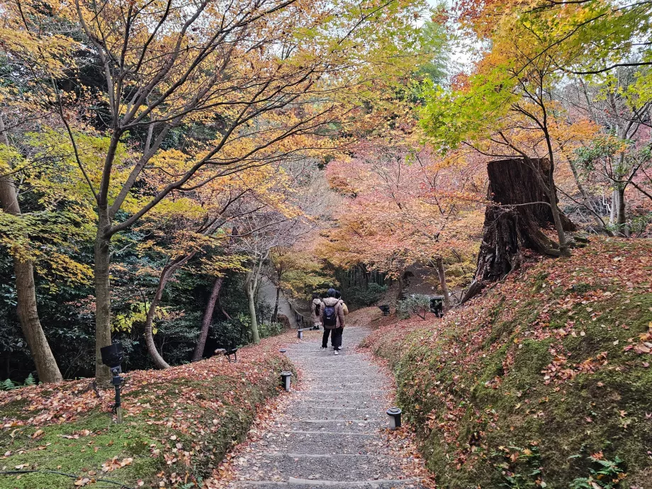 Tempio di Kodai-ji, Giardini