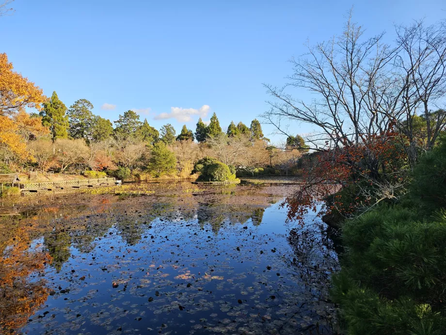 Tempio di Ryoan-ji