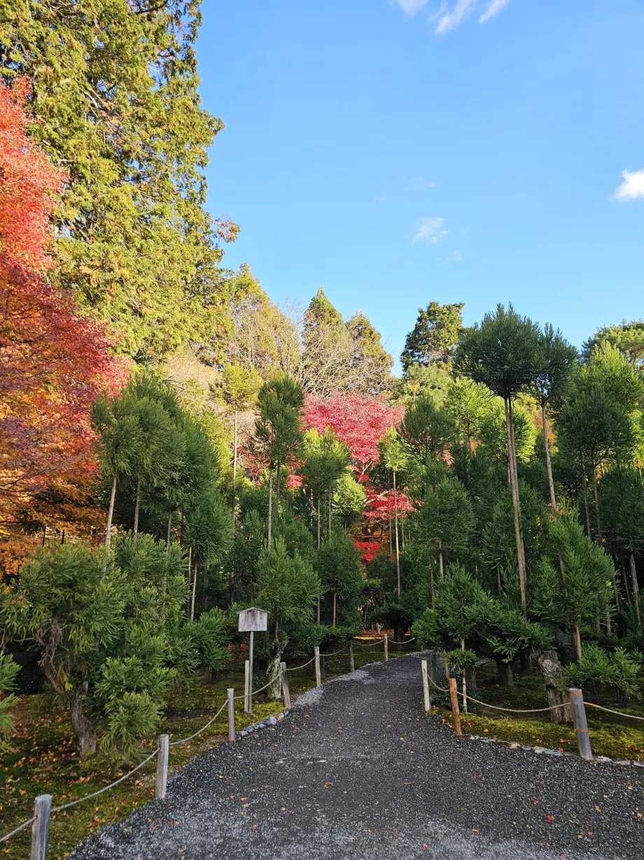 Tempio di Ryoan-ji