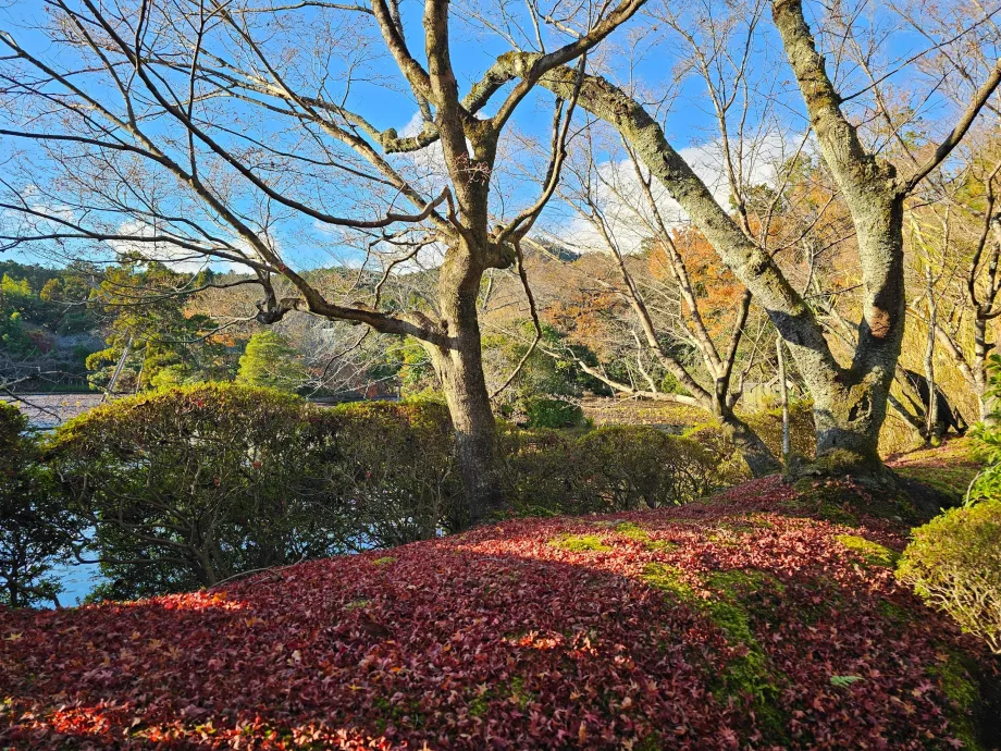 Tempio di Ryoan-ji
