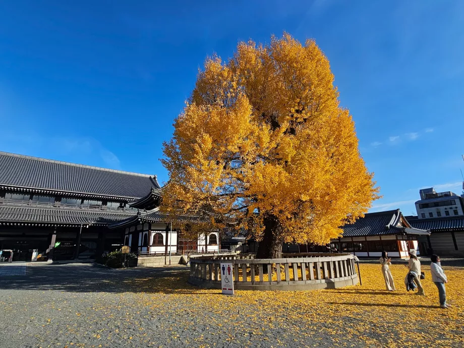 Nishi Hongan-ji