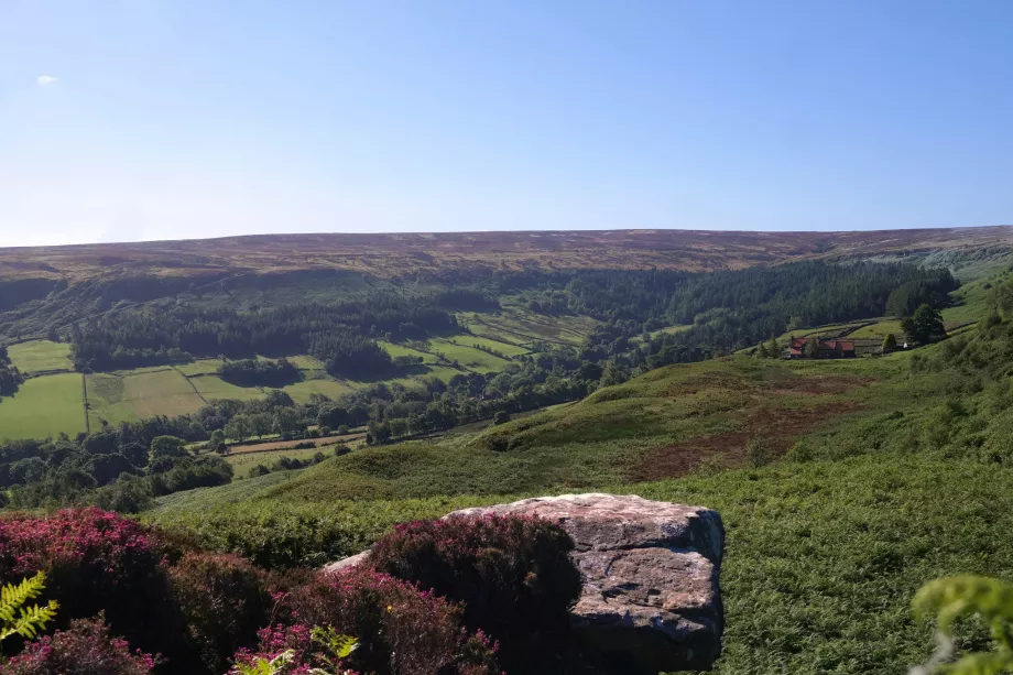 North York Moors