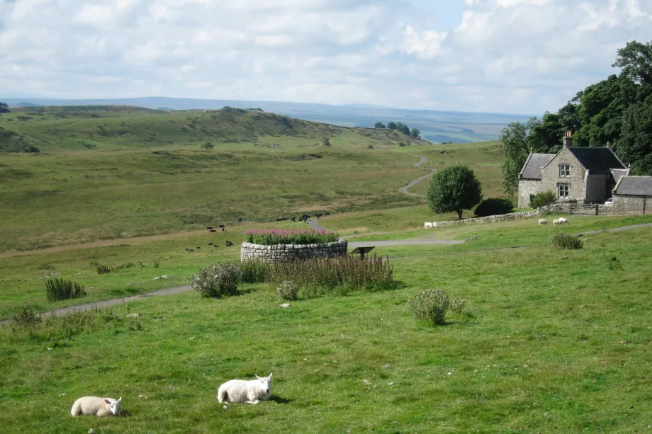 Parco nazionale di Northumberland
