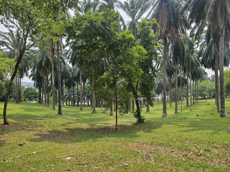 Giardino botanico