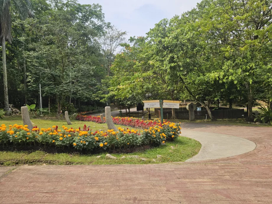 Giardino botanico