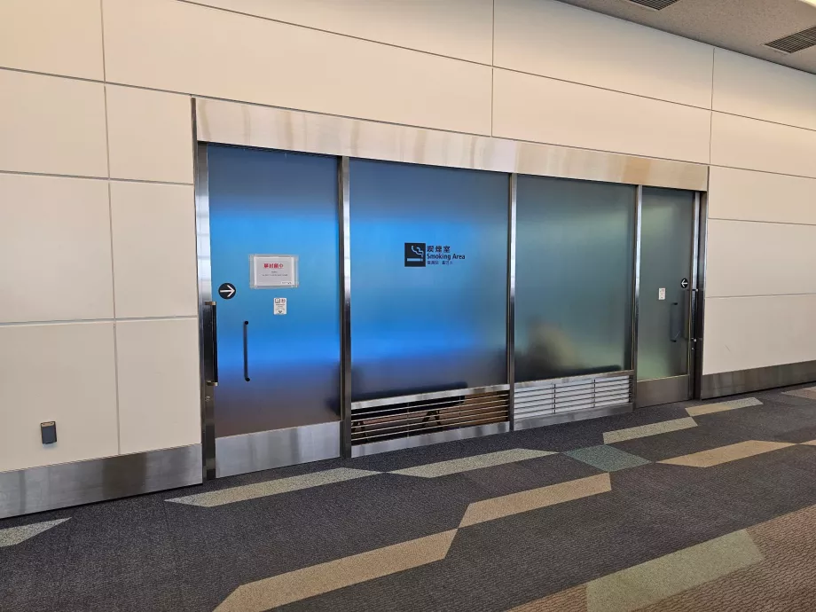 Sale fumatori nella zona di transito