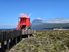 Pico