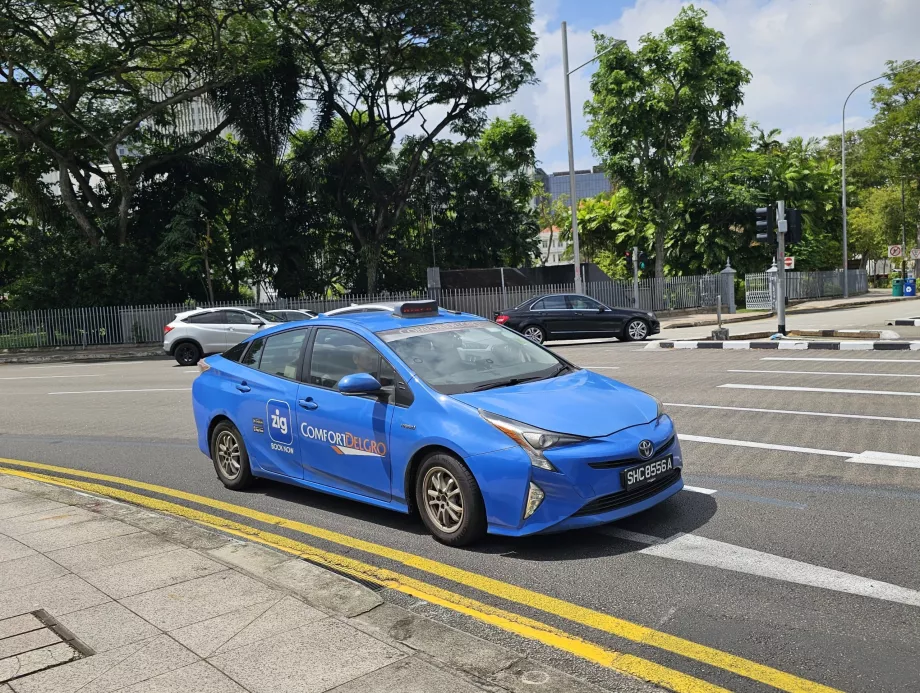 Applicazione ufficiale Zig