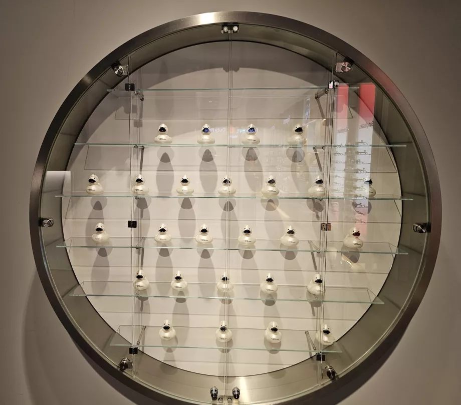 Vetrina con anatre da collezione