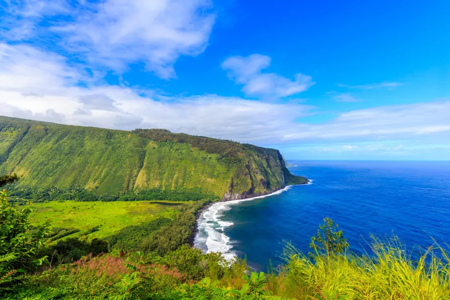 Vedetta di Waipio
