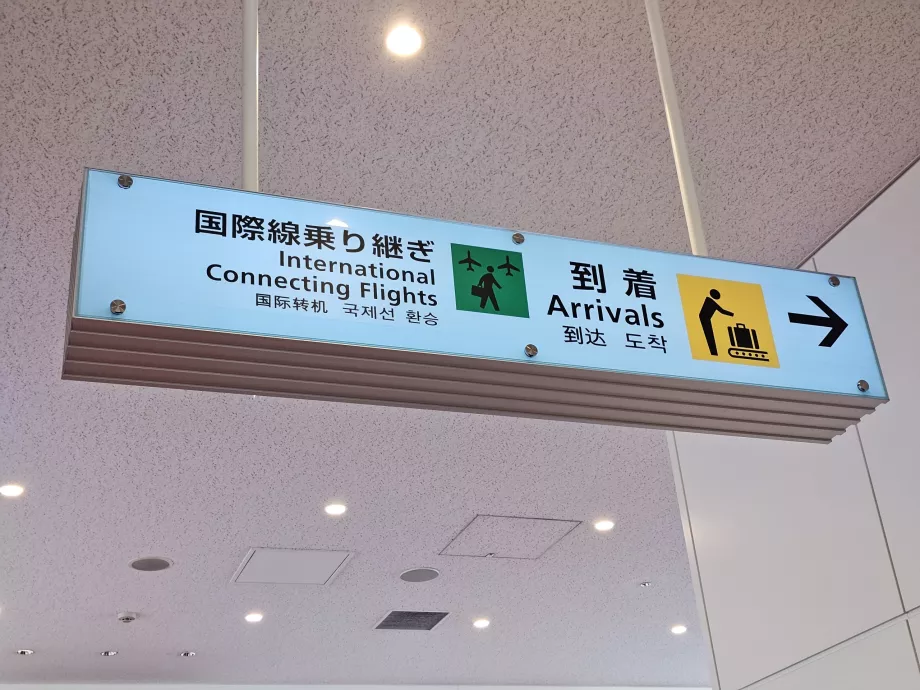 Voli di collegamento internazionali