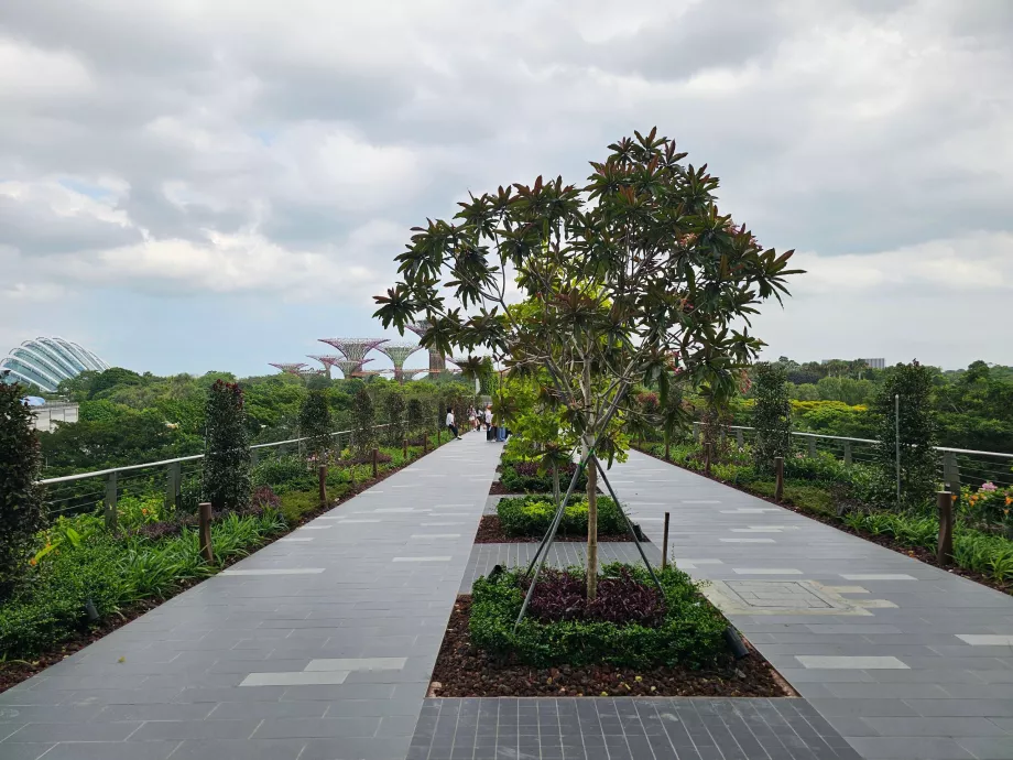 Percorso a piedi per i Gardens by the Bay