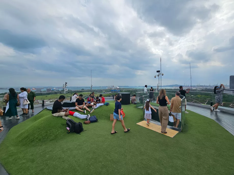 Osservatorio Supertree