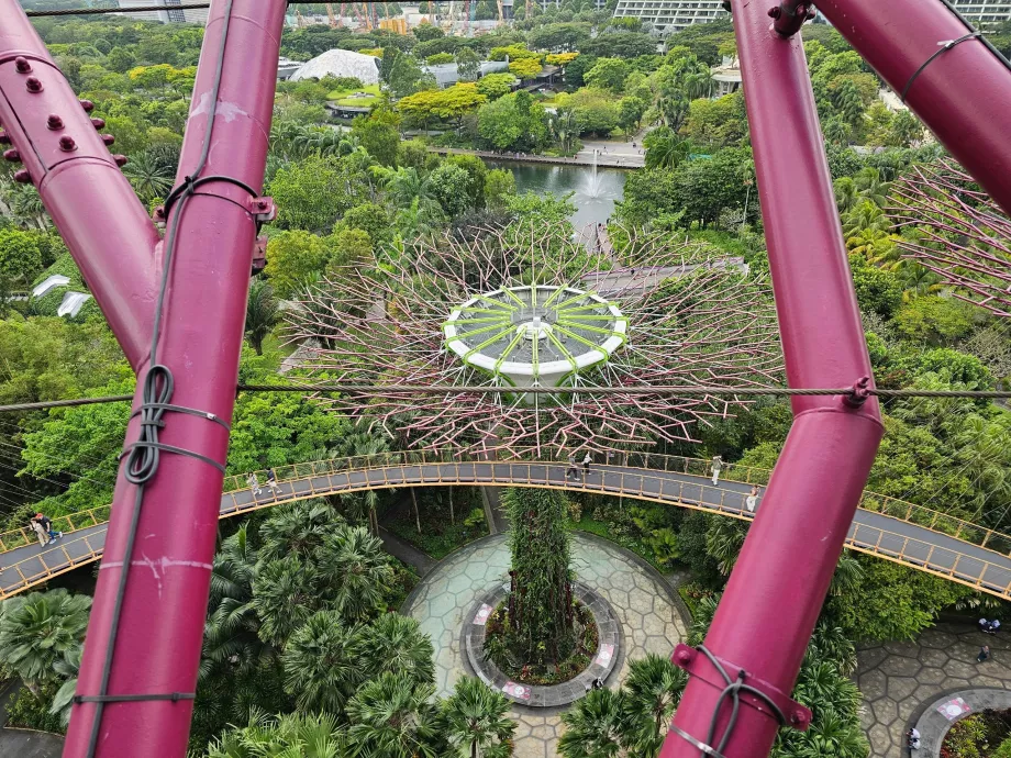 Osservatorio Supertree