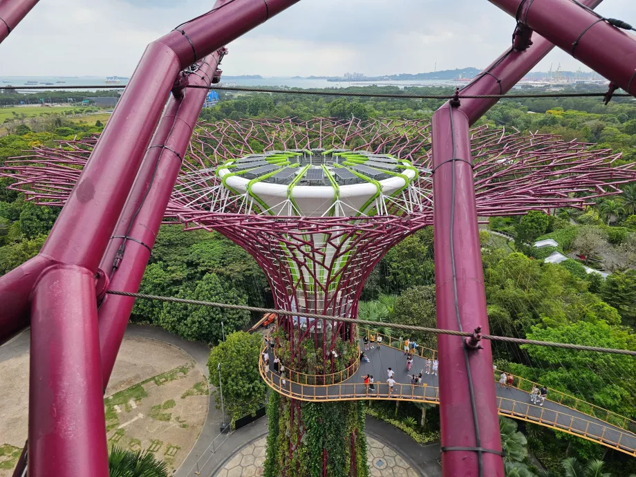 Osservatorio Supertree