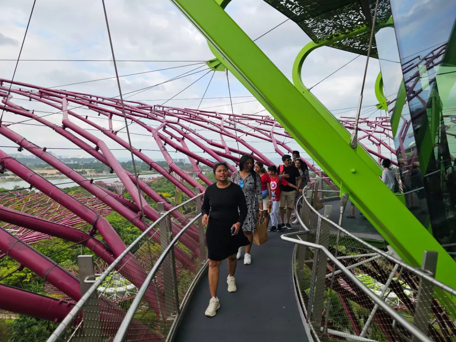 Osservatorio Supertree