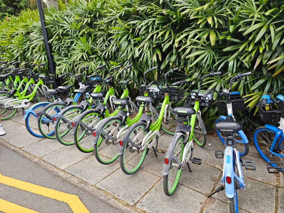Biciclette condivise a Singapore