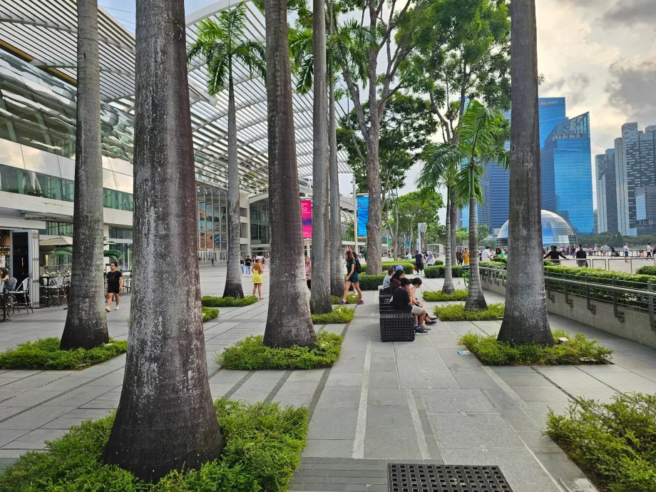 Passeggiata davanti a MBS