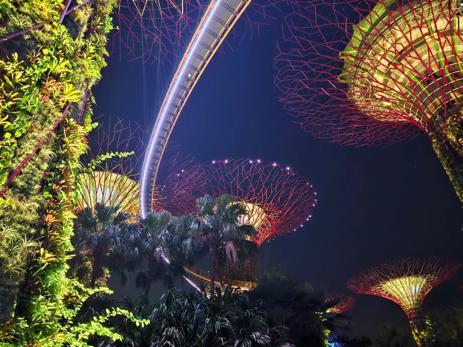 Rapsodia del giardino