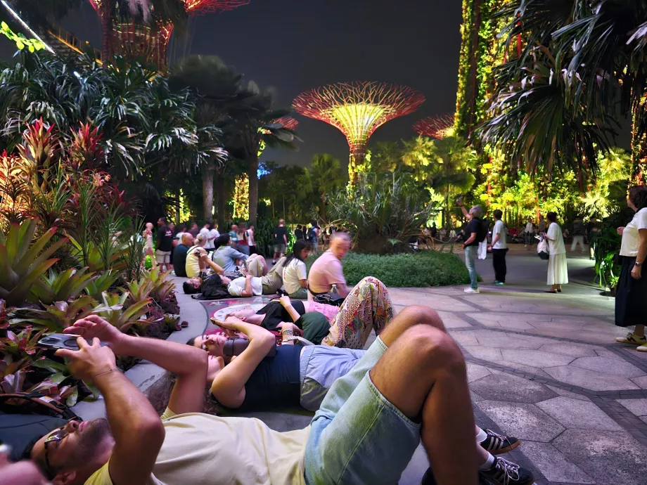 Rapsodia del giardino