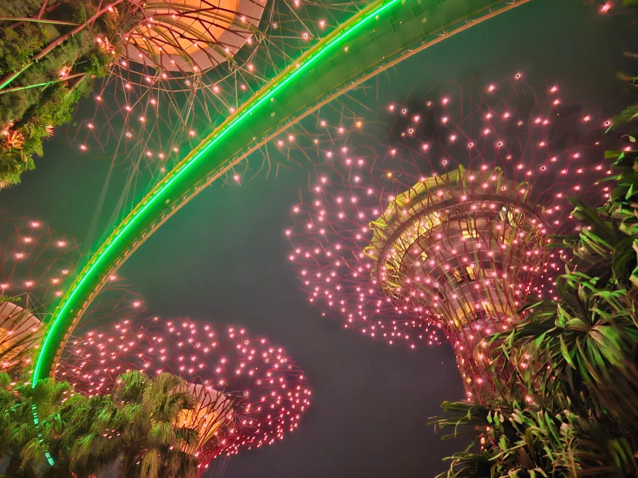 Rapsodia del giardino