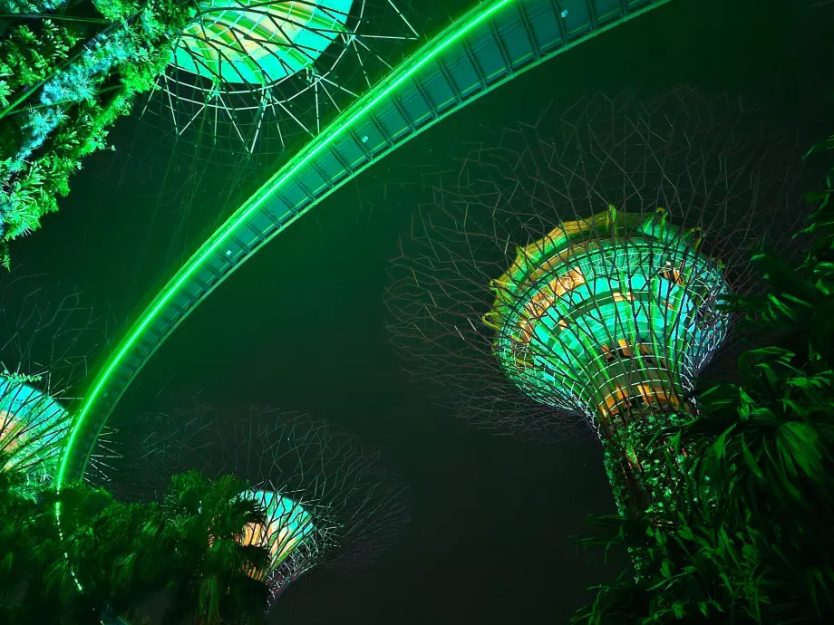 Rapsodia del giardino