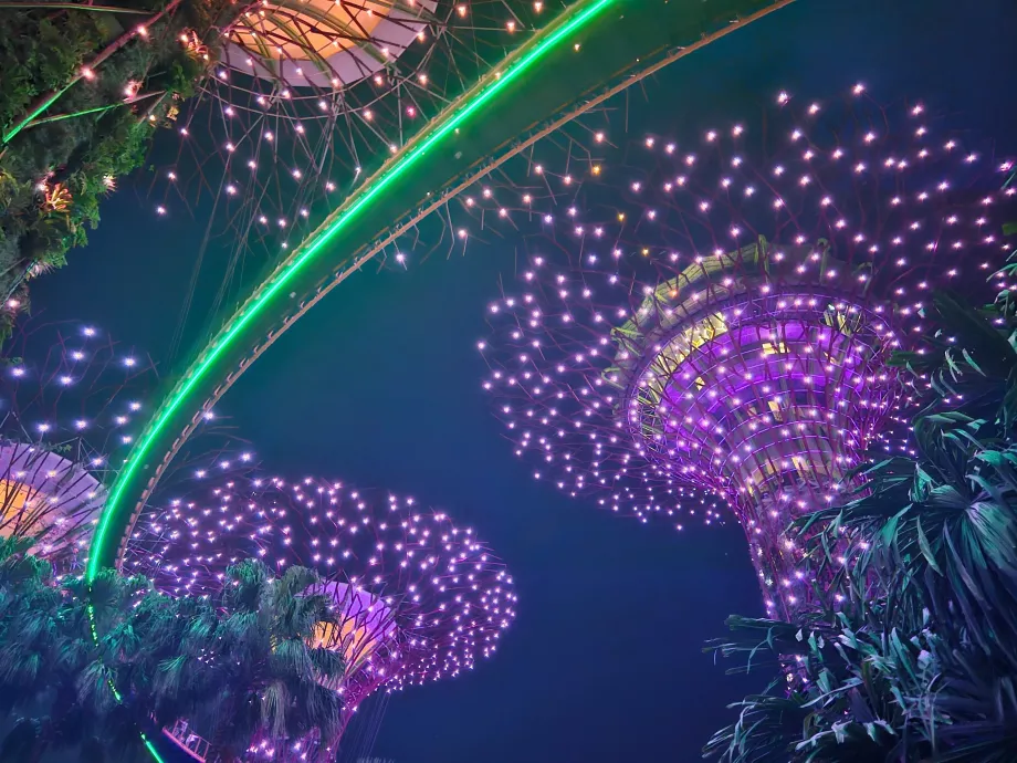 Rapsodia del giardino