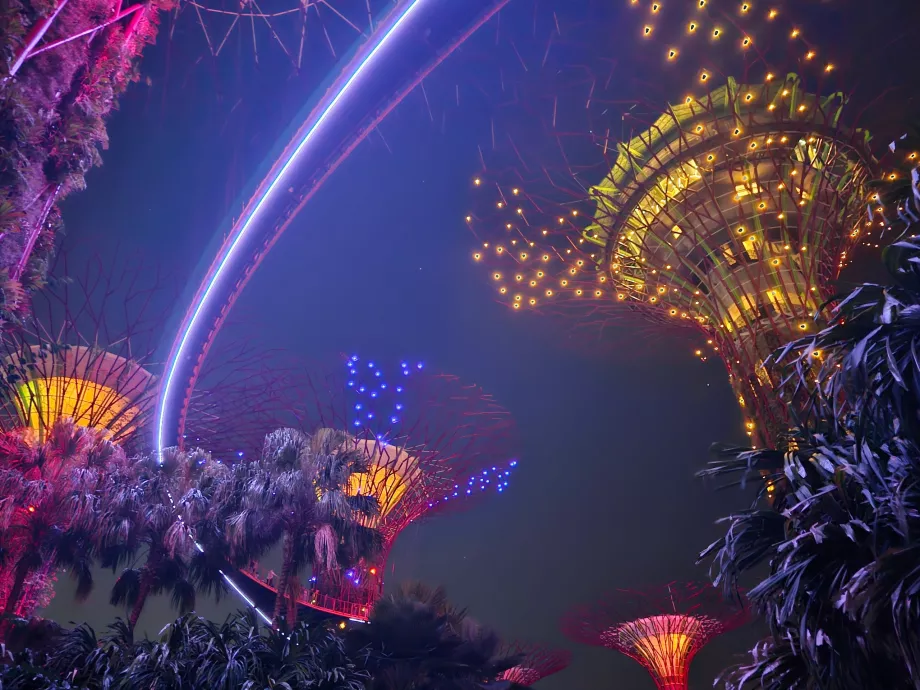 Rapsodia del giardino