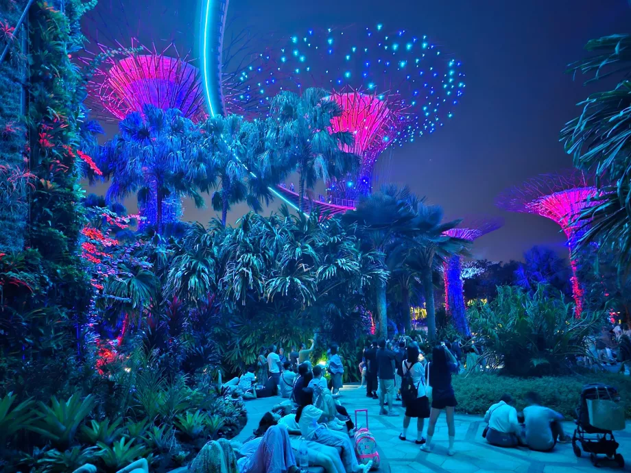 Rapsodia del giardino