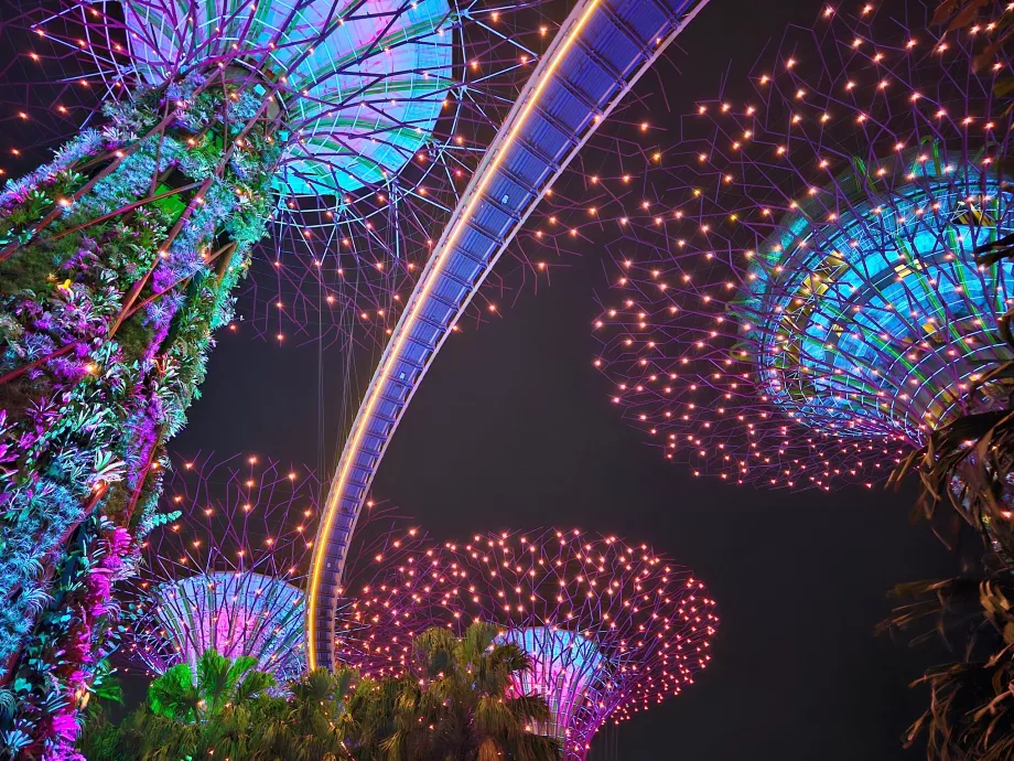 Rapsodia del giardino