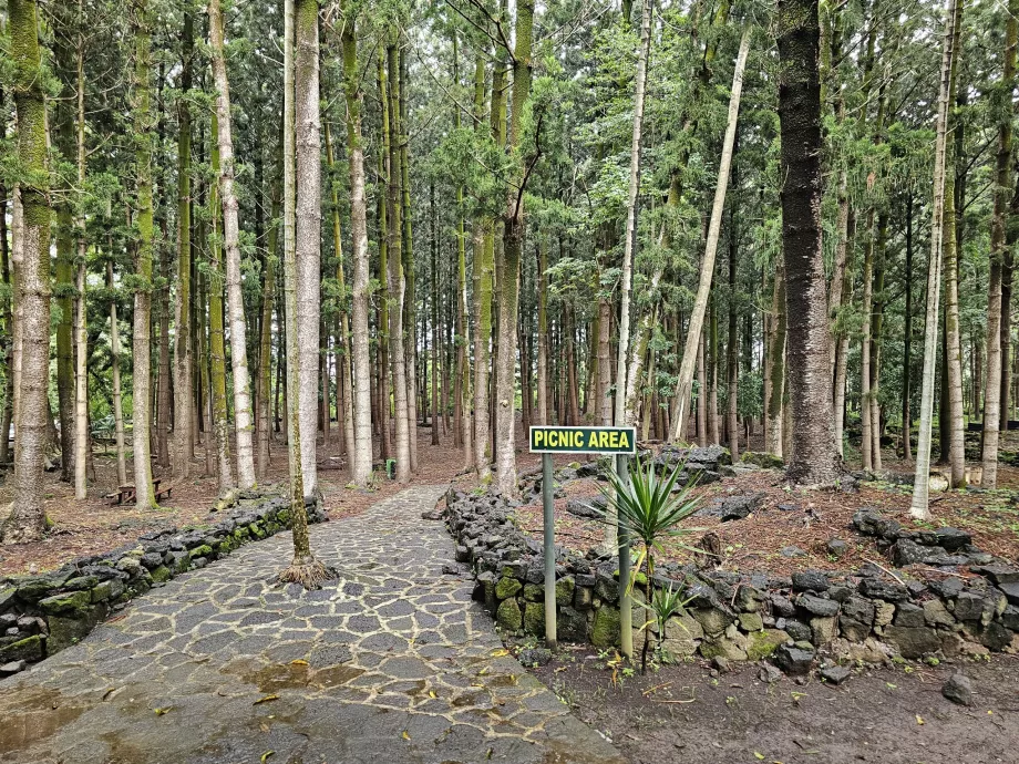 Parco nazionale del Bras d'Eau