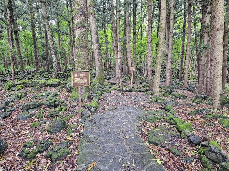 Parco nazionale del Bras d'Eau, sentiero escursionistico