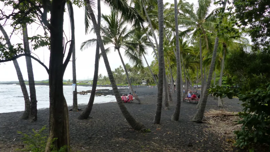 Palmeto sulla spiaggia di Punaluu