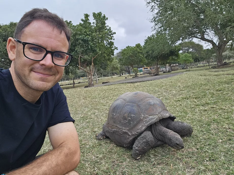 Tartarughe nello zoo di Casela