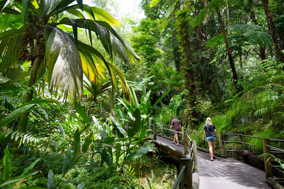 Giardino botanico tropicale delle Hawaii