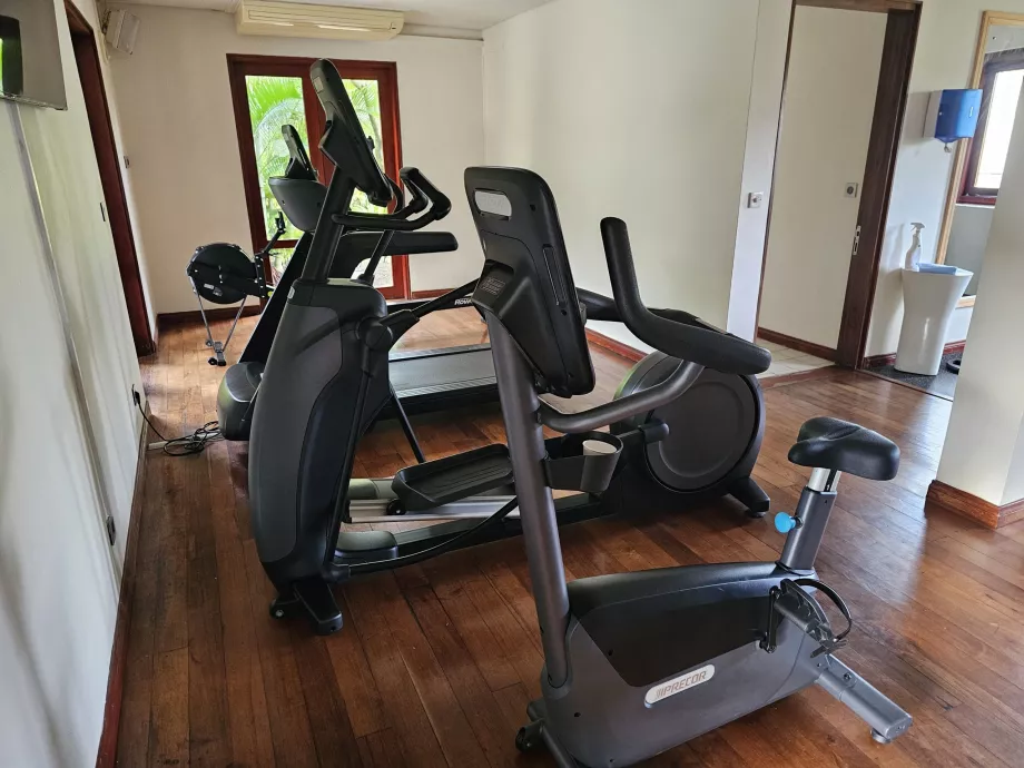 Palestra