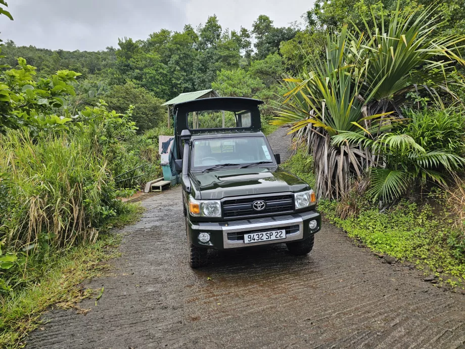 Jeep nella Foresta d'Ebano