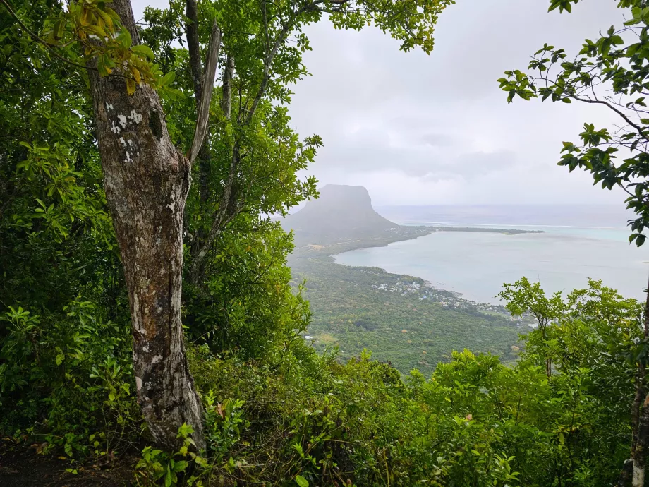 Foresta d'Ebano, vista su Le Morne