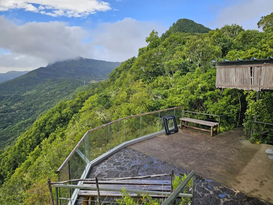 Vista dalla caffetteria della Foresta d'Ebano