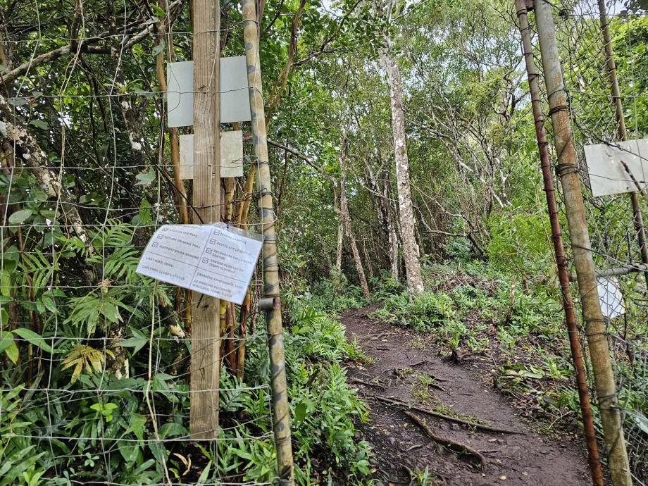 Ingresso al Piton du Canot