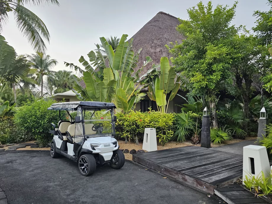 Carrello da golf