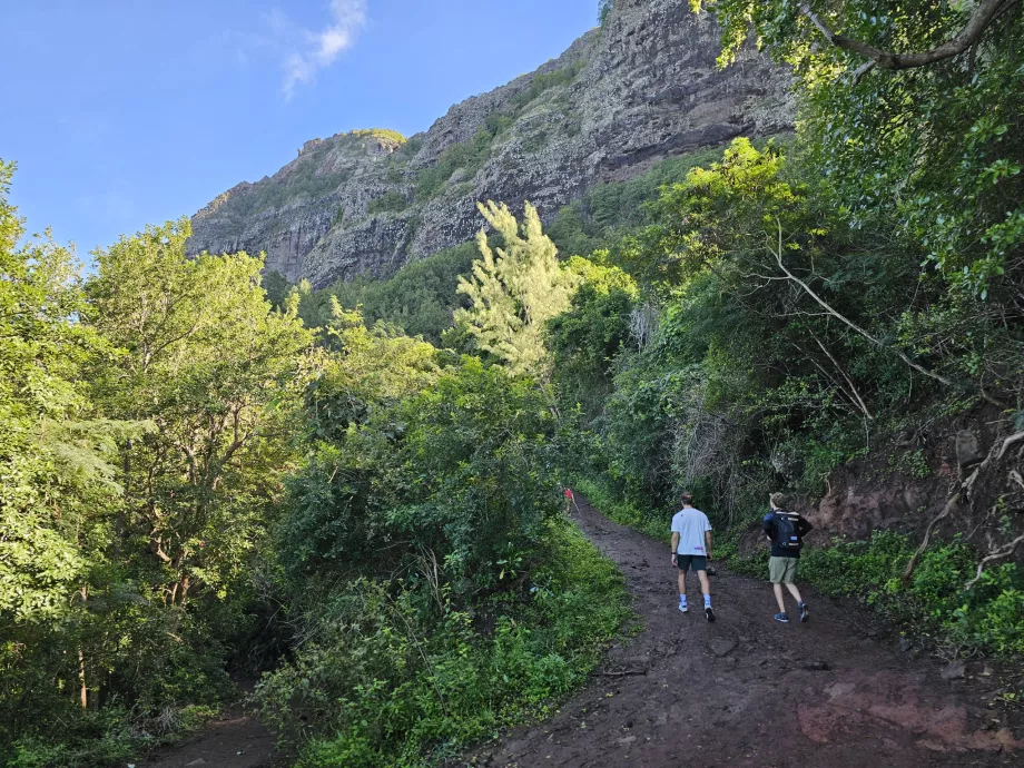 Inizio del viaggio verso Le Morne