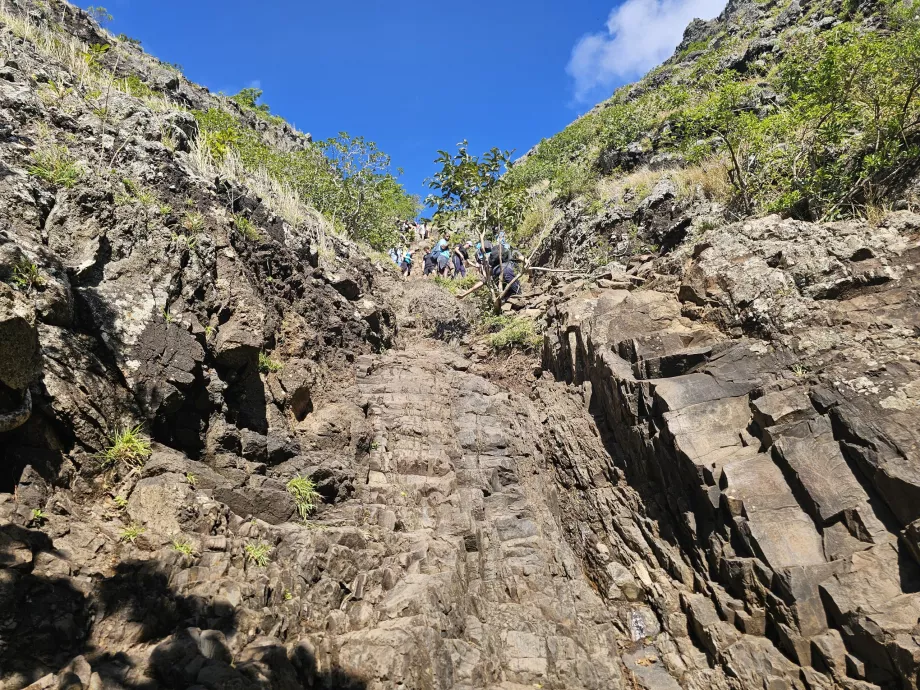 Sezione arrampicata