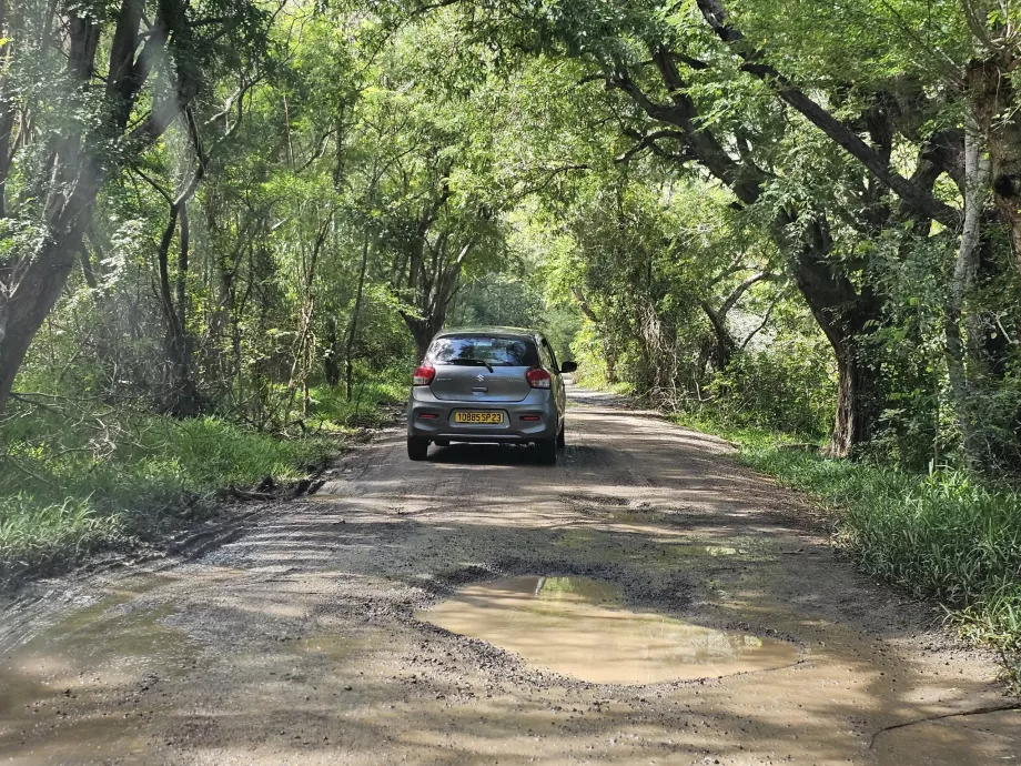 Strada di accesso a Le Morne
