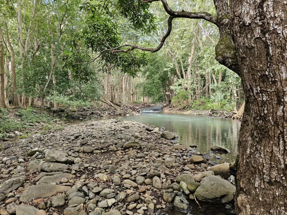 Parco delle Gole del Fiume Nero